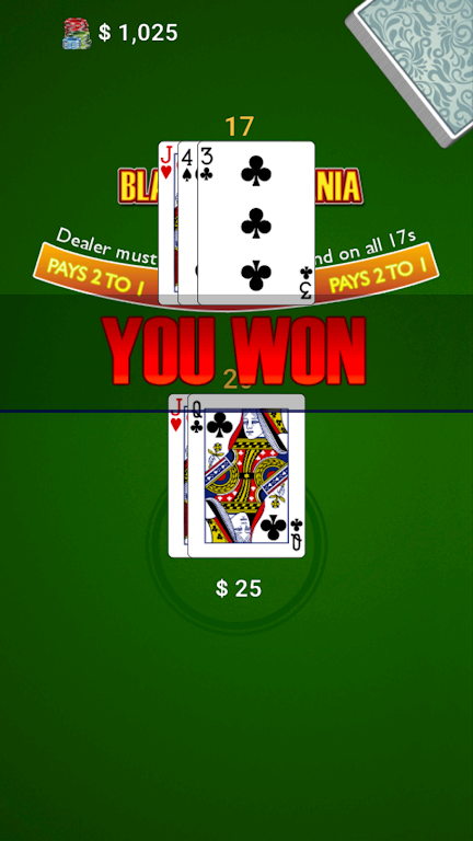 BlackJack Mania应用截图第2张