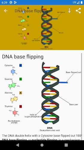 Molecular biology স্ক্রিনশট 3