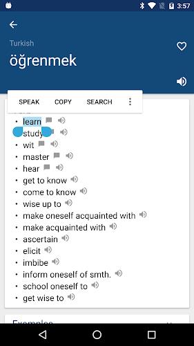 Turkish English Dictionary İng应用截图第0张