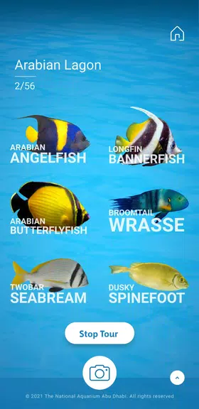 The National Aquarium স্ক্রিনশট 1