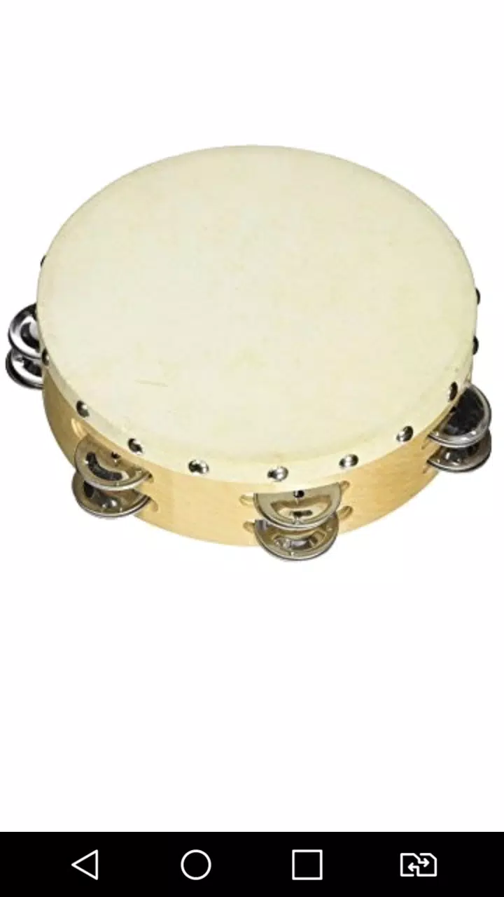 Virtual Tambourine Offline應用截圖第0張