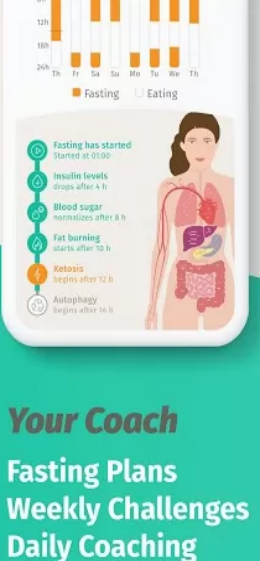 BodyFast: Intermittent Fasting Screenshot 0