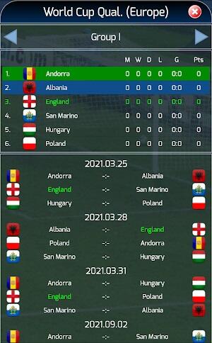 True Football National Manager Screenshot 2