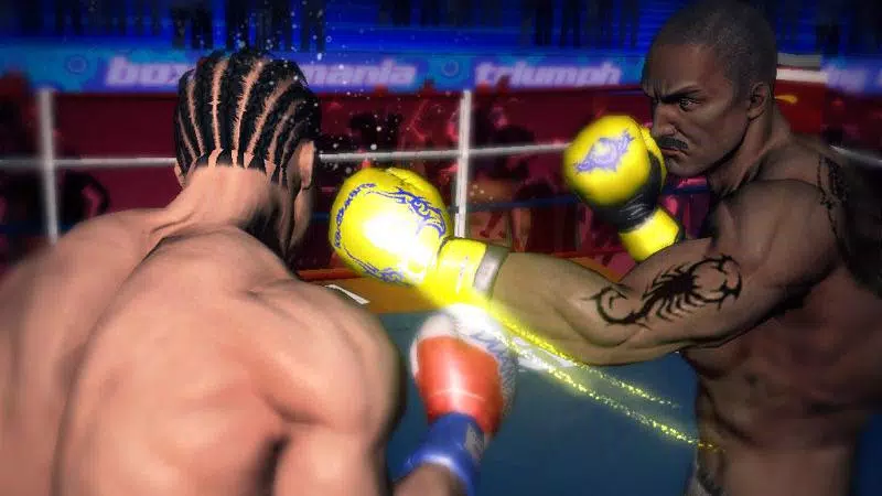 Punch Boxing 3D應用截圖第1張
