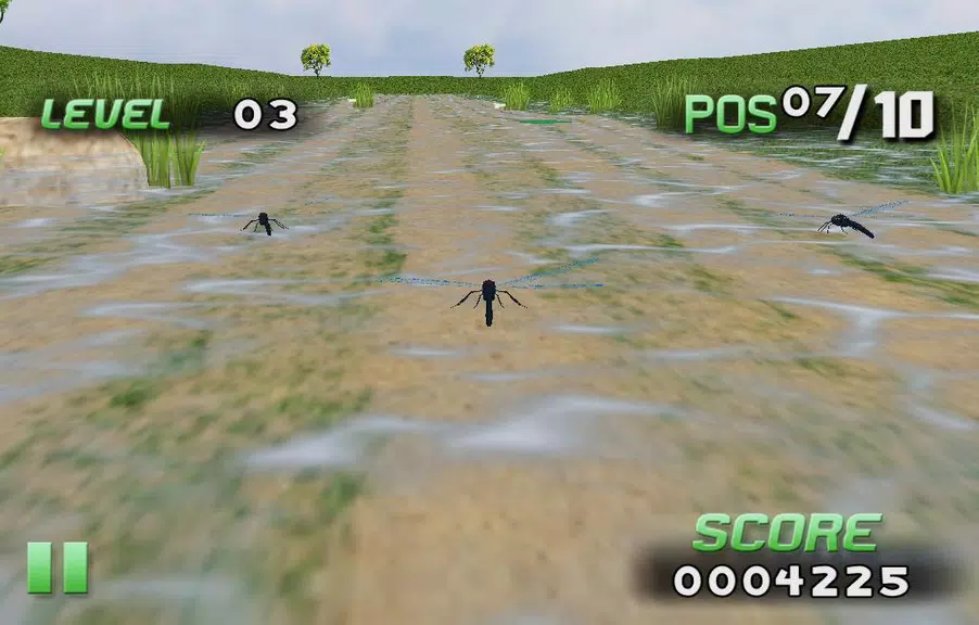 Insect Race Schermafbeelding 2