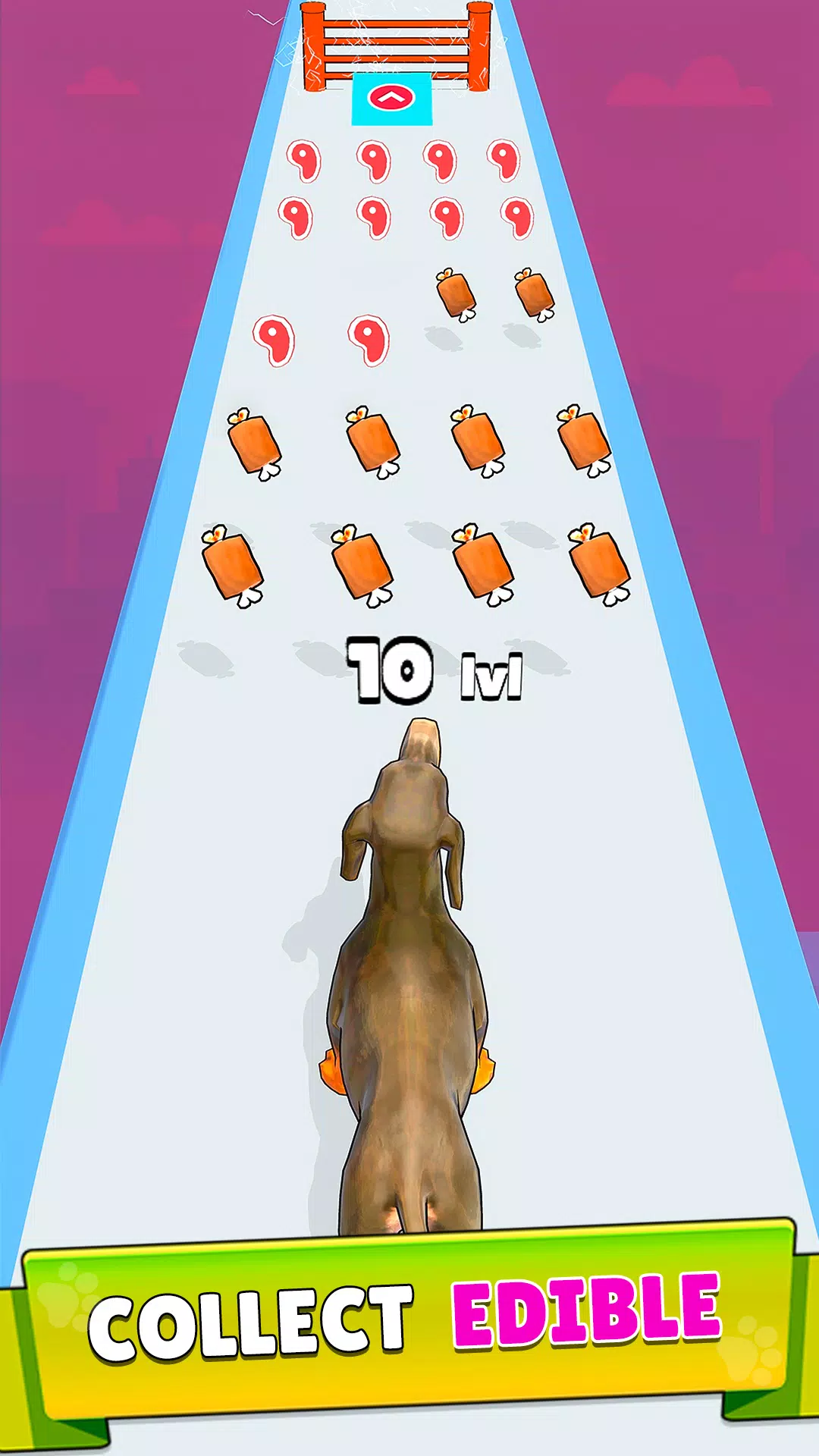 Dog Evolution Run应用截图第2张