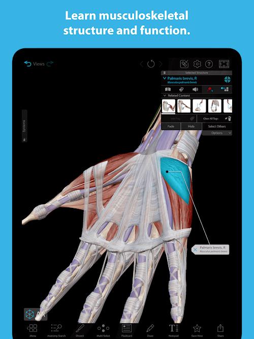 Human Anatomy Atlas 2023 Screenshot 3