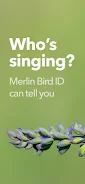 Merlin Bird ID by Cornell Lab Tangkapan skrin 3