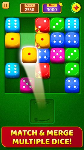 Dice Puzzle Screenshot 0