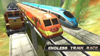 Train Race ဖန်သားပြင်ဓာတ်ပုံ 3