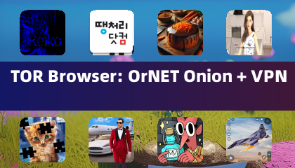 TOR Browser: OrNET Onion + VPN