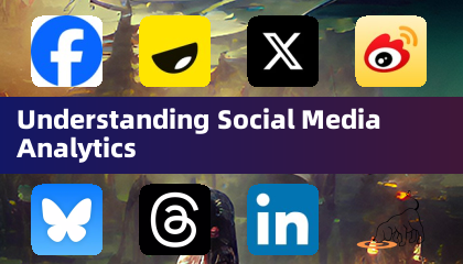 Understanding Social Media Analytics